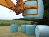 Wrapped Bale Clamp for handing wrapped silage bales.